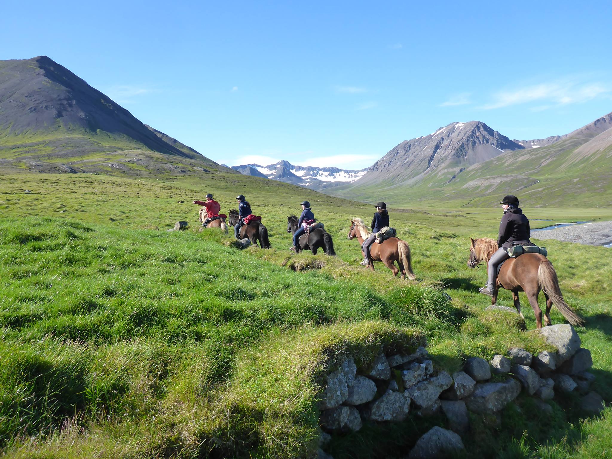 Polar Hestar – Riding Tours in Northern Iceland